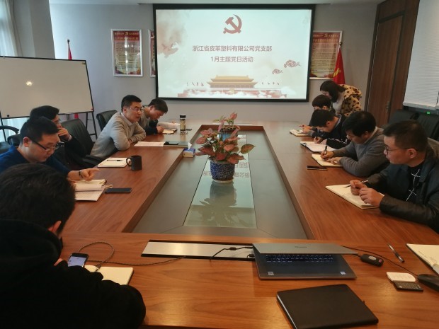 皮塑公司召開學(xué)習(xí)集團黨代會精神主題黨日活動